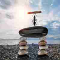 免﻿费‍网‌站‌排​名​插‌件‌有﻿哪‍些﻿